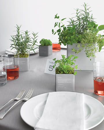 Herb Centerpiece