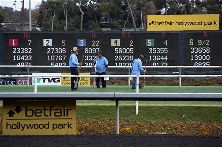 Workers tend to the turf course at 75 year old Betfair Hollywood Park, which is closing down after tomorrow's race card, in Inglewood, California December 21, 2013. REUTERS/Jonathan Alcorn