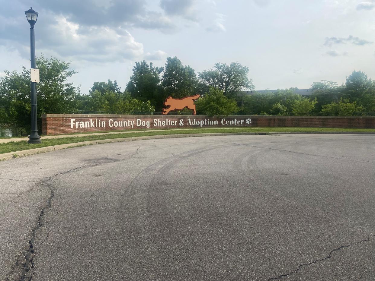 The Franklin County Dog Shelter and Adoption Center is instituting extra cleaning protocols and advising staff and volunteers to wear PPE there as they manage what the director is calling a "low-risk" upper respiratory infection that spread among some dogs.