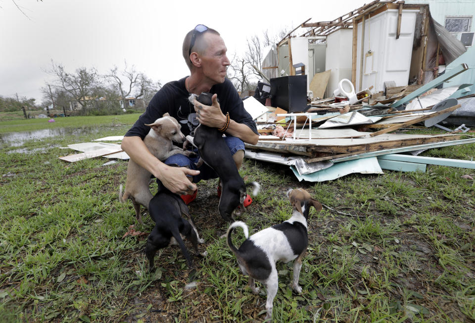 Animals rescued in the aftermath of Harvey