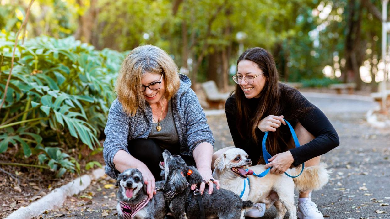 Two women walking dogs together