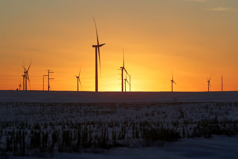 FILE PHOTO: A wind farm shares space with corn fields the day before the Iowa caucuses, where agriculture and clean energy are key issues, in Latimer, Iowa