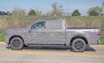 <p>Ford masked the trademark style-line "notch" that resides on the front doorsill near the rearview mirror in an attempt to hide the new truck's DNA. </p>