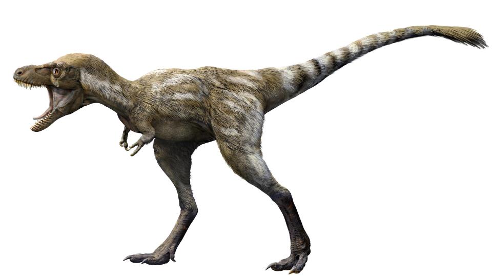 Juvenile t rex