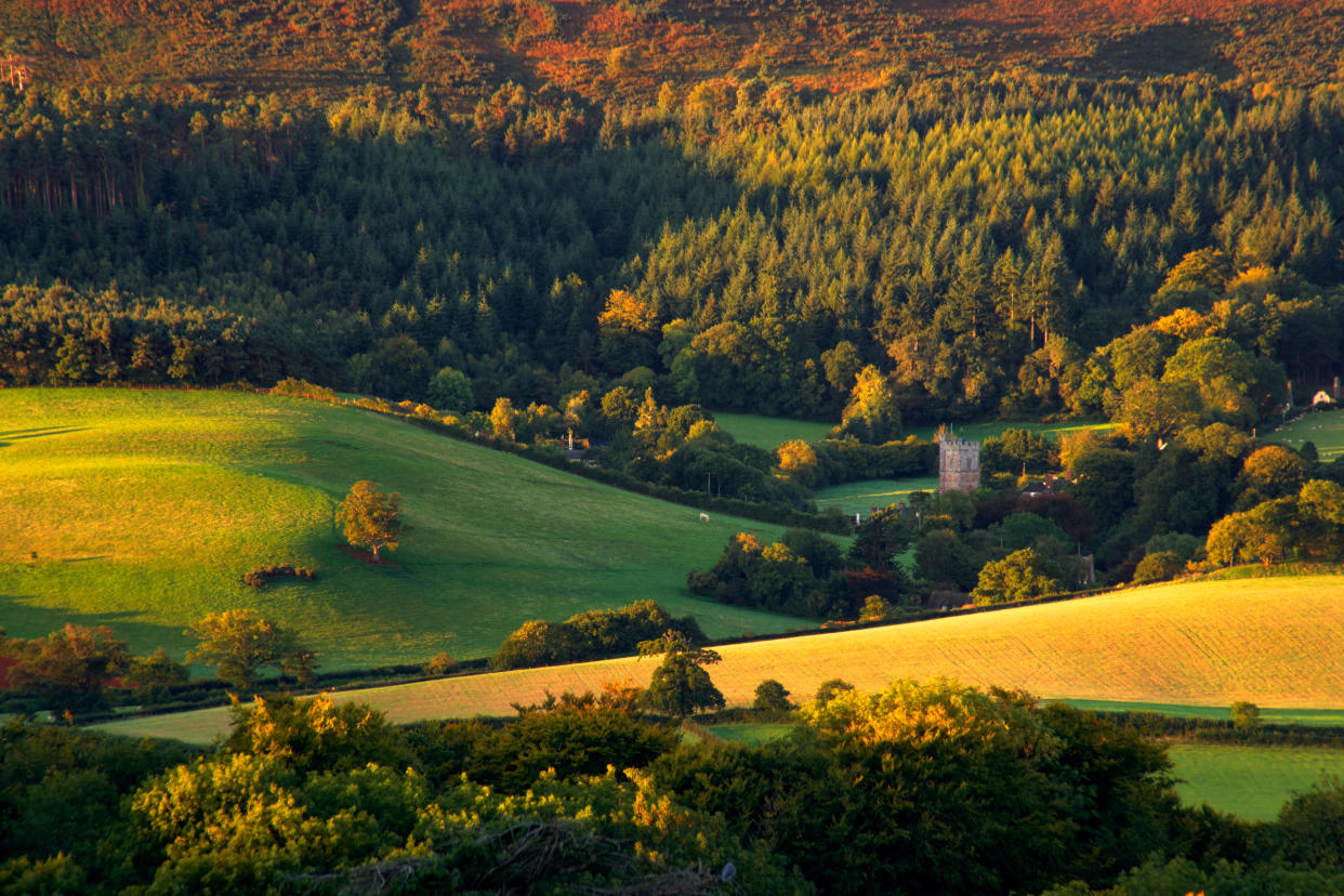 The Holnicote estate valley in Somerset (Alamy/PA)