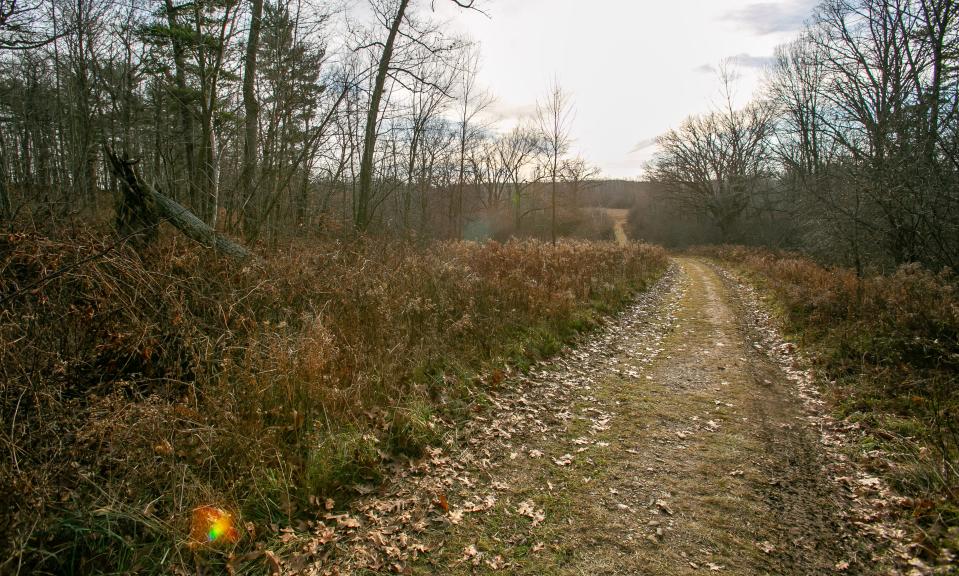 A view along a path at Willow Creek Preserve, Friday, December 8, 2023, in Sheboygan, Wis. Glacial Lakes Conservancy is looking into water quality testing and recent grant to build stormwater systems in Willow Creek, an area vulnerable to wastewater runoff from neighboring businesses and roads in the Taylor Drive corridor.