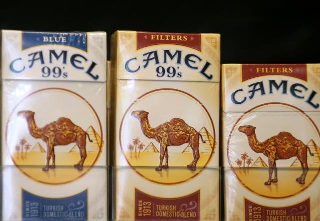 Camel Up' review to make a lot of money in anticipation of victory