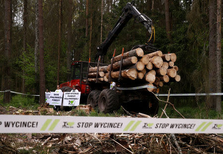 Environmental activists chain themselves to a logging machine during an action in the defence of one of the last primeval forests in Europe, Bialowieza forest, Poland May 24, 2017. Banners read "Stop Logging Bialowieza Forest" and "Save Bialowieza Forest". REUTERS/Kacper Pempel