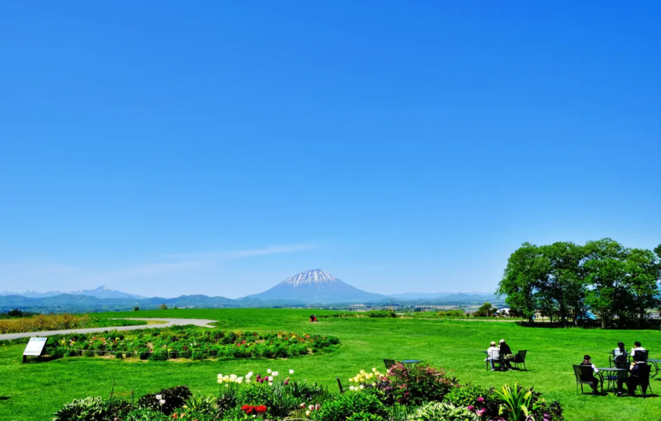 北海道旅遊｜芝櫻溫泉一日遊！札幌出發 粉紅色芝櫻地毯配羊蹄山美景、洞爺湖溫泉街嘆免費足湯、品嚐名水百選