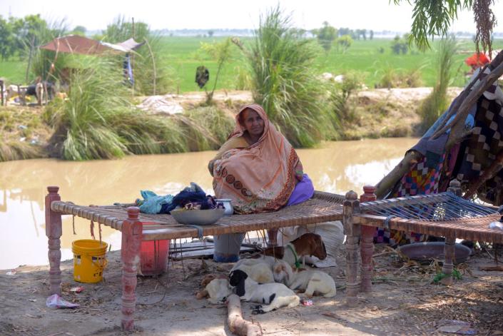 Arbab, 50, sits in her temporary tent in Dadu Sindh (Akifullah Khan/DEC)