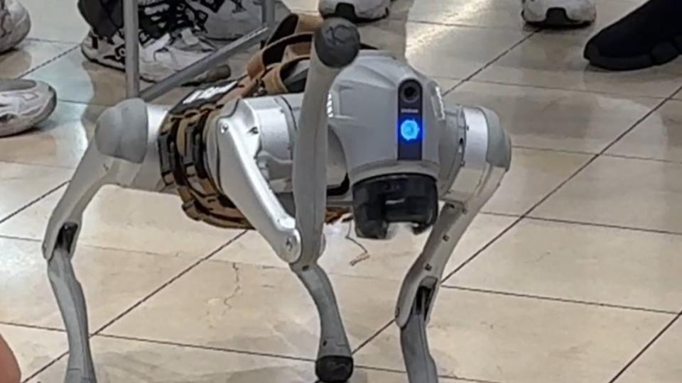 Why is a Visalia man taking his robot dog on walks around the Central Valley