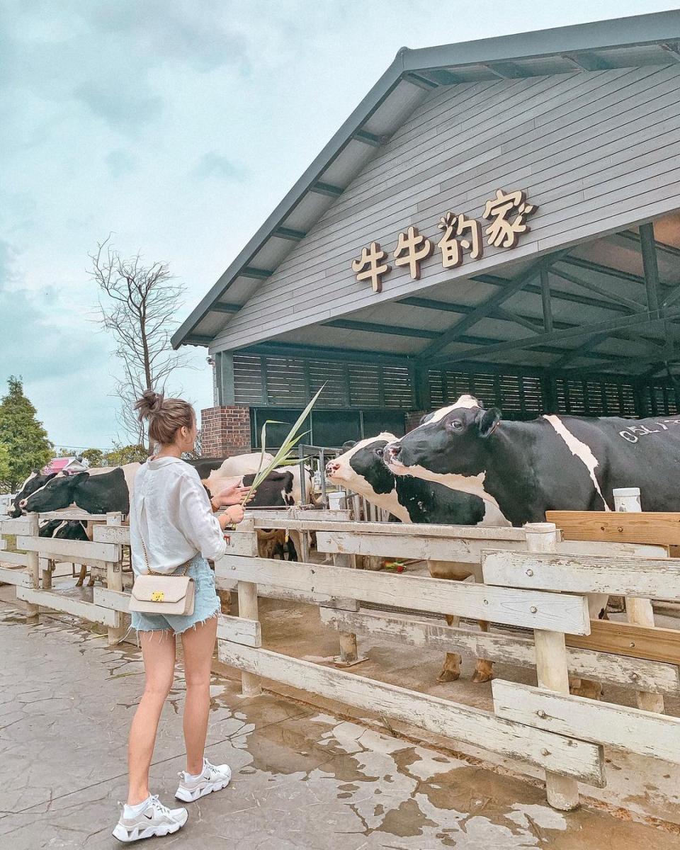 ▲中部過年走春景點-雲林千巧谷牛樂園牧場。 （圖／oio_0102, Instagram）