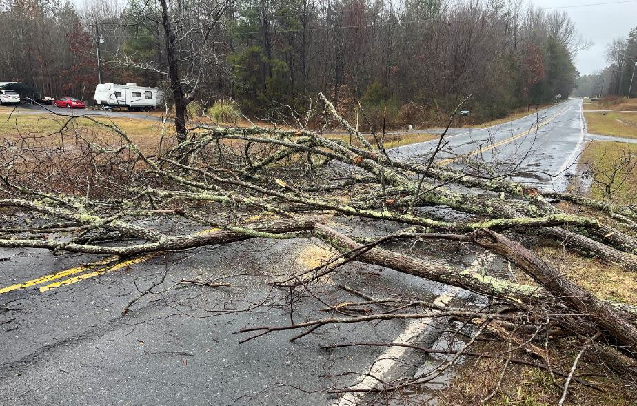 Tree and power line down via YCSO