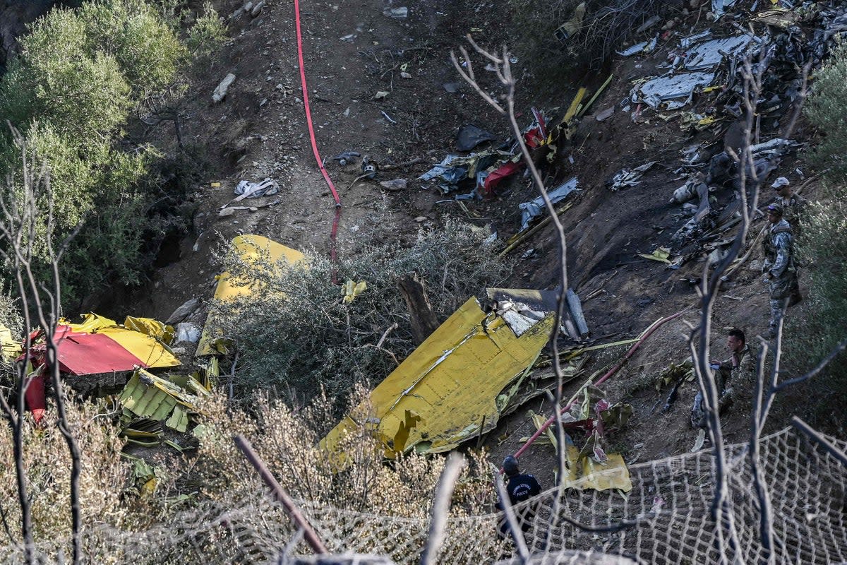 Two pilots died when their water-bombing plane crashed while battling a blaze on the Greek island of Evia (AFP/Getty)