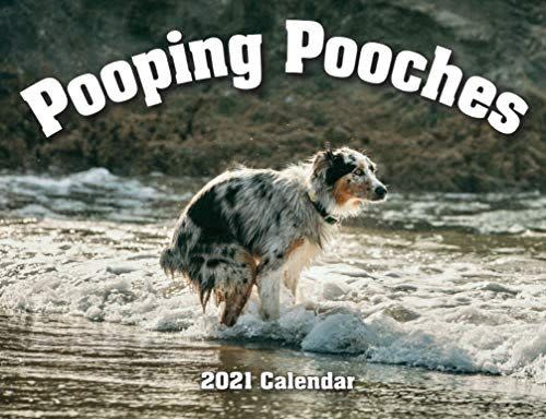 45) 2023 Pooping Pooche Calendar