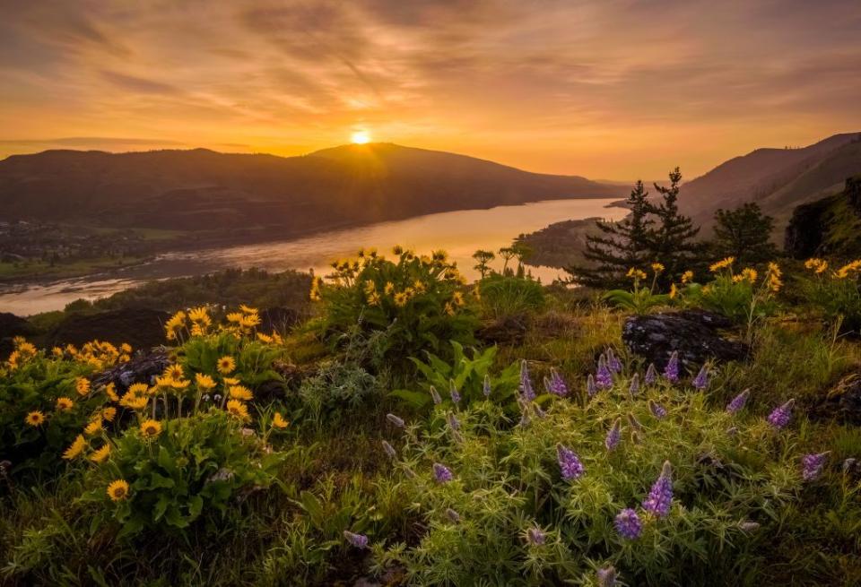 Columbia River Gorge - Oregon