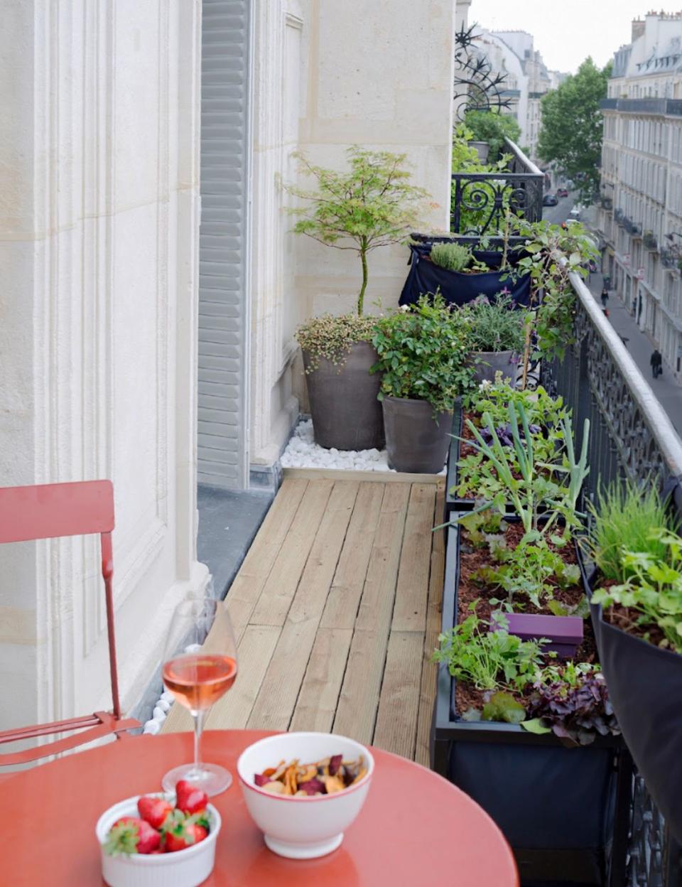 Après : un balcon parisien végétalisé