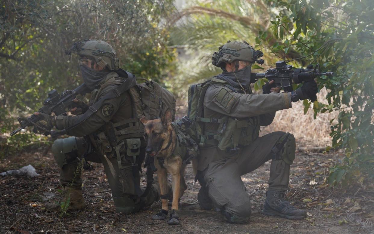 Photograph made available by the Israel Defence Forces