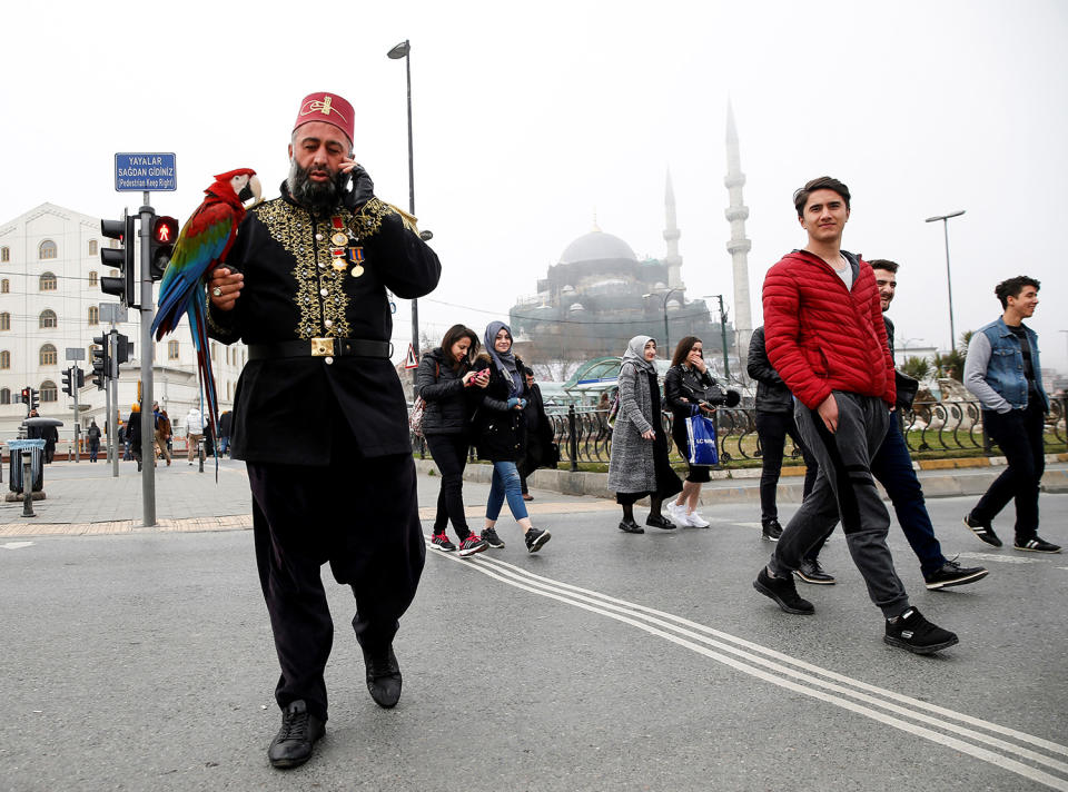 Life with a parrot in Istanbul