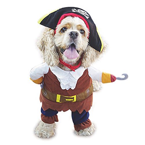 get your paws on these adorable petfriendly halloween costumes