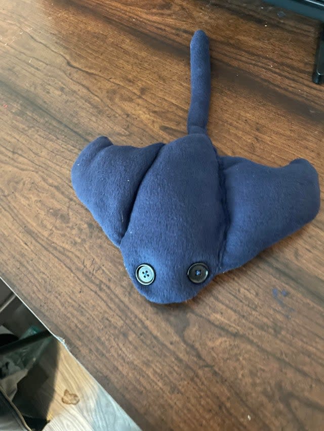 El muñeco de mantarraya, hecho por Tiffany Holloway para el cumpleaños su hijo, desató una marea de generosidad en internet. (Reddit/WildfireSmile/Tiffany Holloway)