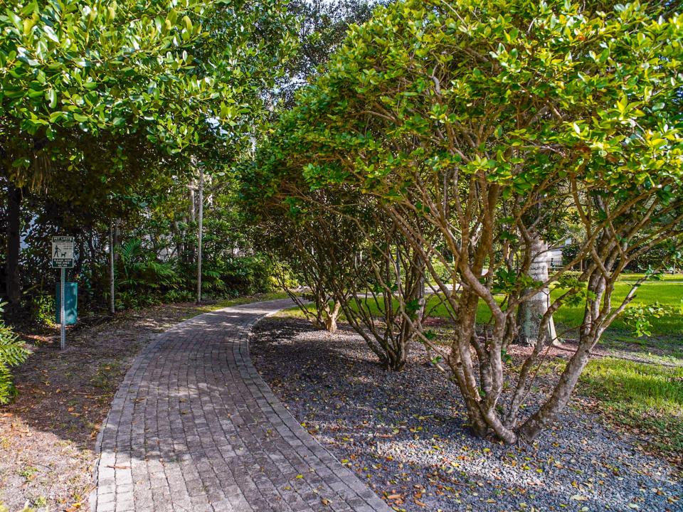 A pathway between trees in a park in Coconut Grove