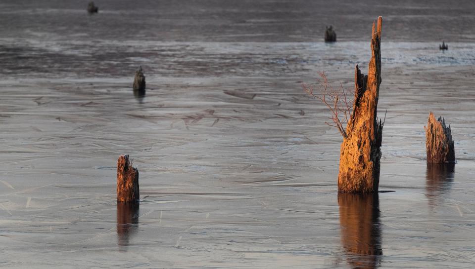 Just Go Outside: Winter’s frigid grasp takes hold in Double Trouble State Park in Berkeley Township on January 12, 2021.  