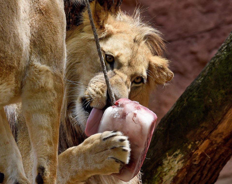 Calor extremo