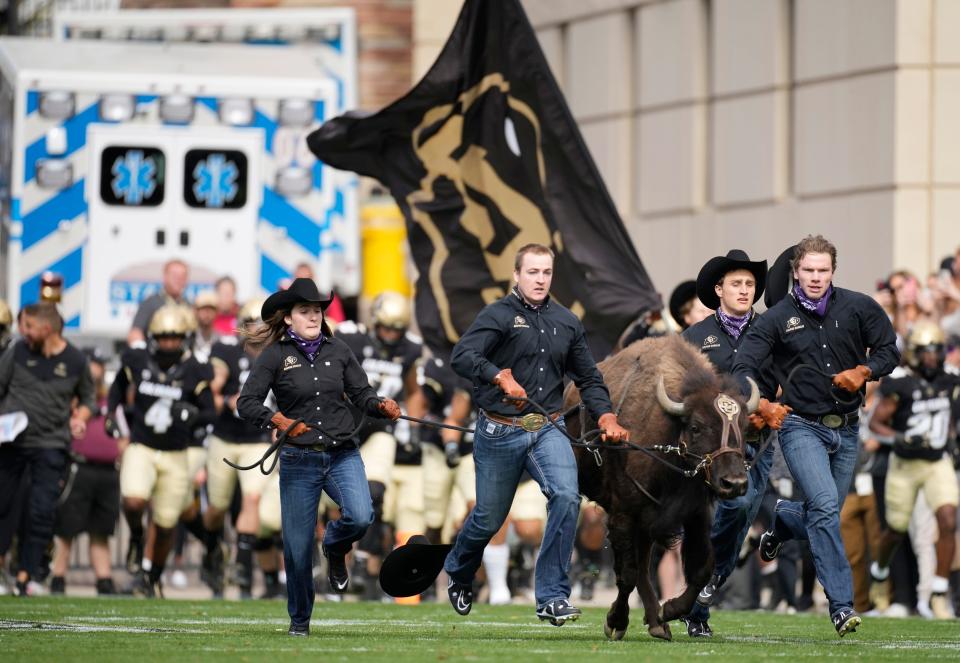 Handlers guide Colorado mascot Ralphie VI in ceremonial run before the second half of a football game last season in Boulder, Colorado. The Buffaloes are set to rejoin the Big 12 for the 2024 season.
