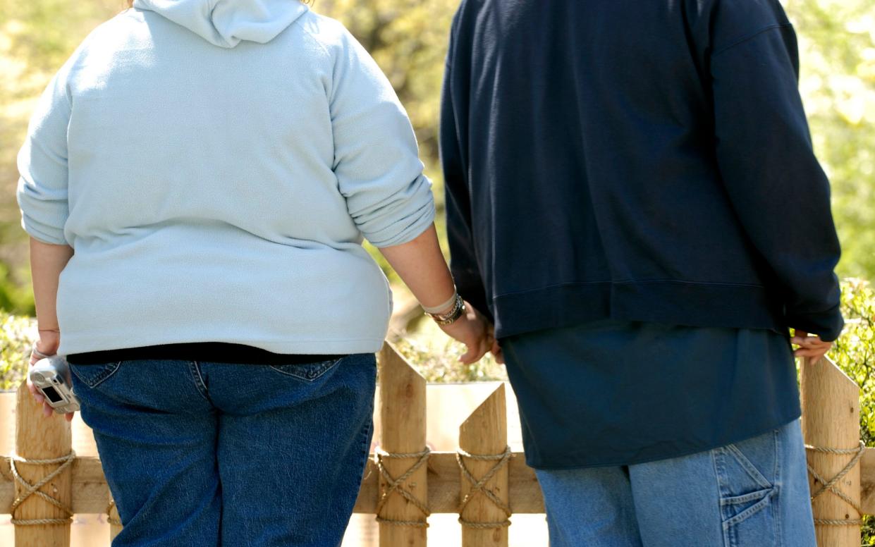 Couple Holding Hands at the Bronx Zoo