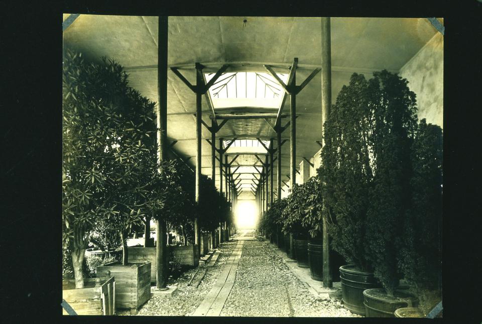 Historic photo of the Orangerie at Kykuit, the Rockefeller estate in Pocantico. It was built by John D. Rockefeller. in 1908. A adaptive and eco-friendly re-use of the structure will create an arts and performance space open to the public.