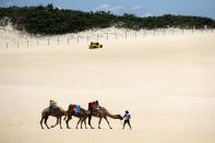 Tourists ride on camels at the Genipabu dunes in Natal, northeastern Brazil, March 27, 2014. Natal is one of the host cities for the 2014 World Cup soccer tournament in Brazil. REUTERS/Nuno Guimaraes (BRAZIL - Tags: SPORT SOCCER WORLD CUP TRAVEL SOCIETY)