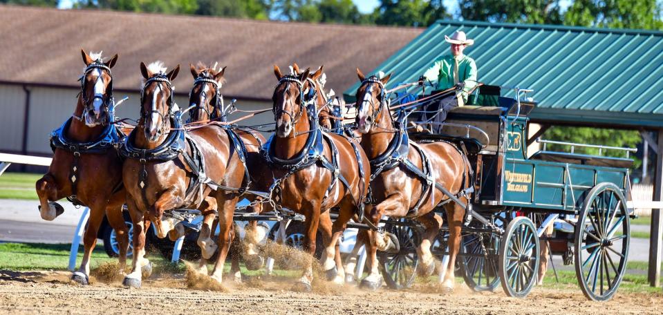 The LaPorte County Fairgrounds will host the LaPorte County Draft Horse Association 2023 Show on Sept. 7-9.