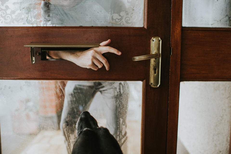 Person's hand seen through a glass door with a dog's nose touching the glass from the other side