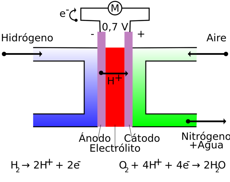 Esquema de una pila de membrana de intercambio protónico. <a href="https://es.wikipedia.org/wiki/Archivo:Fuel_cell_ES.svg" rel="nofollow noopener" target="_blank" data-ylk="slk:HandigeHarry / Wikimedia Commons;elm:context_link;itc:0;sec:content-canvas" class="link ">HandigeHarry / Wikimedia Commons</a>