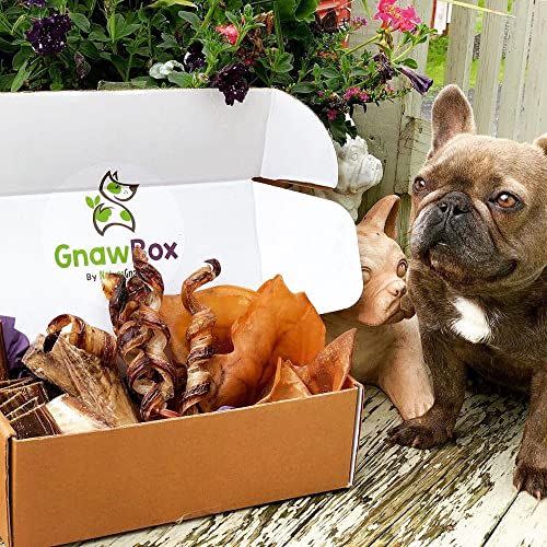 3) 100% Natural Dog Chew Subscription Box