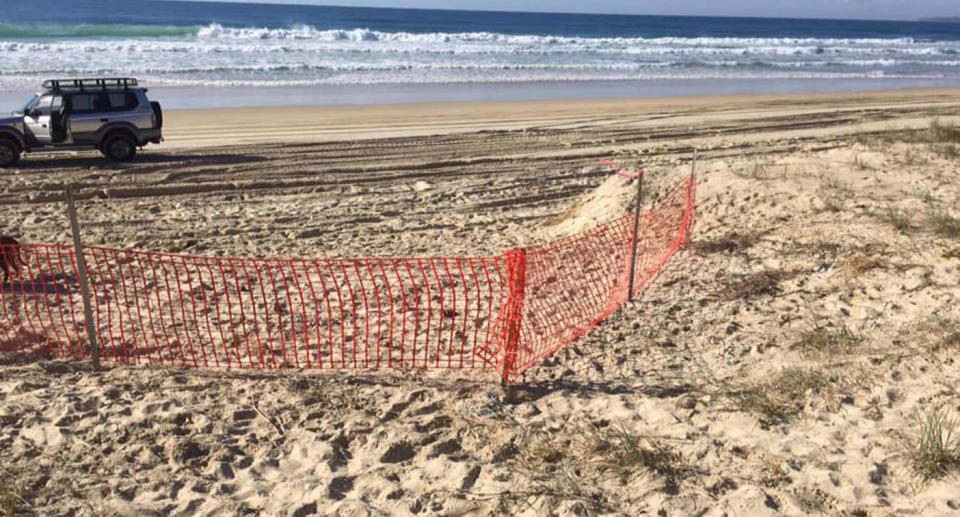 Council baiting area is shown metres from Teerwah Dog Beach on the Sunshine Coast.