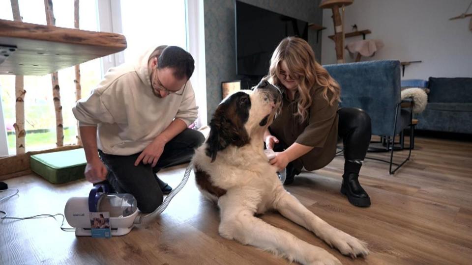 Ruffys Menschen Philipp und Mary-Joe testen gern Hunde-Accesoires für ihr "Riesenbaby". (Bild: RTL)