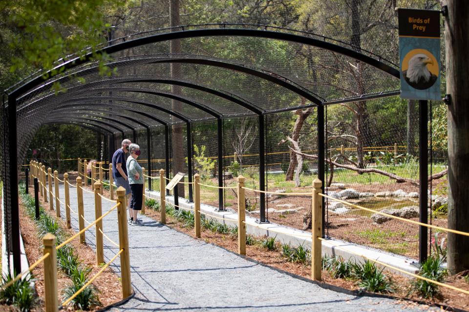 A couple look for birds in the Tallahassee Museum aviary Tuesday, March 23, 2021. 