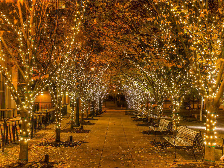 portland oregon christmas lights