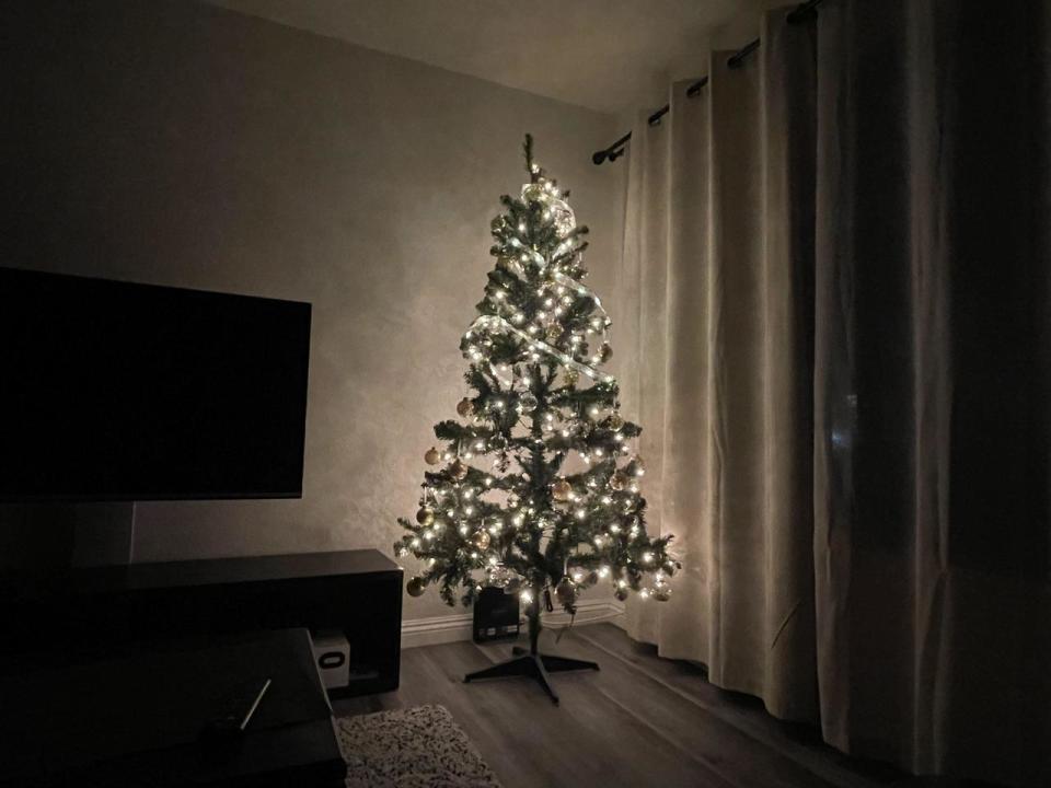 沃爾瑪39元低價聖誕樹如何？（記者王若然／攝影）
