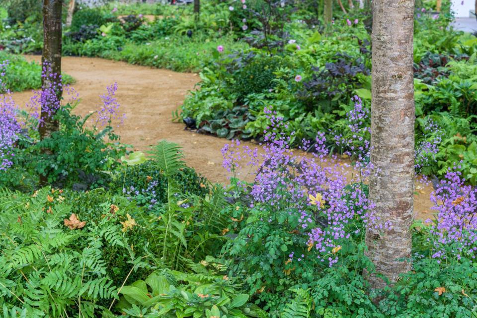 <p><strong>There are 27 gardens at this year's <a href="https://www.housebeautiful.com/uk/chelsea-flower-show-rhs/" rel="nofollow noopener" target="_blank" data-ylk="slk:Chelsea Flower Show;elm:context_link;itc:0;sec:content-canvas" class="link ">Chelsea Flower Show</a> including Feature Gardens, Show Gardens, Sanctuary Gardens, Artisan Gardens, Balcony Gardens and Container Gardens. But which design has won Gold and Best in Show? </strong></p><p>Following a <a href="https://www.housebeautiful.com/uk/garden/a27538799/rhs-chelsea-flower-show-gardens-gold-medal-judging-process/" rel="nofollow noopener" target="_blank" data-ylk="slk:rigorous judging process;elm:context_link;itc:0;sec:content-canvas" class="link ">rigorous judging process</a>, RHS judges have been awarding garden designers with medals on the official opening day, with Gold being the most highly coveted. </p><p>At this <a href="https://www.housebeautiful.com/uk/garden/a35866552/chelsea-flower-show-2021-autumn/" rel="nofollow noopener" target="_blank" data-ylk="slk:historic autumn show;elm:context_link;itc:0;sec:content-canvas" class="link ">historic autumn show</a> there really is something for everyone, with each garden – however big or small – providing inspiration and take-home ideas. We've compiled every single garden from the <a href="https://www.housebeautiful.com/uk/garden/a32484677/chelsea-flower-show-2021/" rel="nofollow noopener" target="_blank" data-ylk="slk:Chelsea Flower Show 2021;elm:context_link;itc:0;sec:content-canvas" class="link ">Chelsea Flower Show 2021</a> right here. And we're updating this page with all the winning medals and awards for each garden category as they're announced. Please n0te, feature gardens are not judged, as well as balcony and container gardens.</p><p>What medals are available? Gold, Silver-Gilt, Silver and Bronze. </p><p>What awards are up for grabs? Every category has a Best in Show and the Best Show Garden is particularly sought-after, there's also a Best Construction and the People's Choice Award; the latter of which is judged by the public. </p>