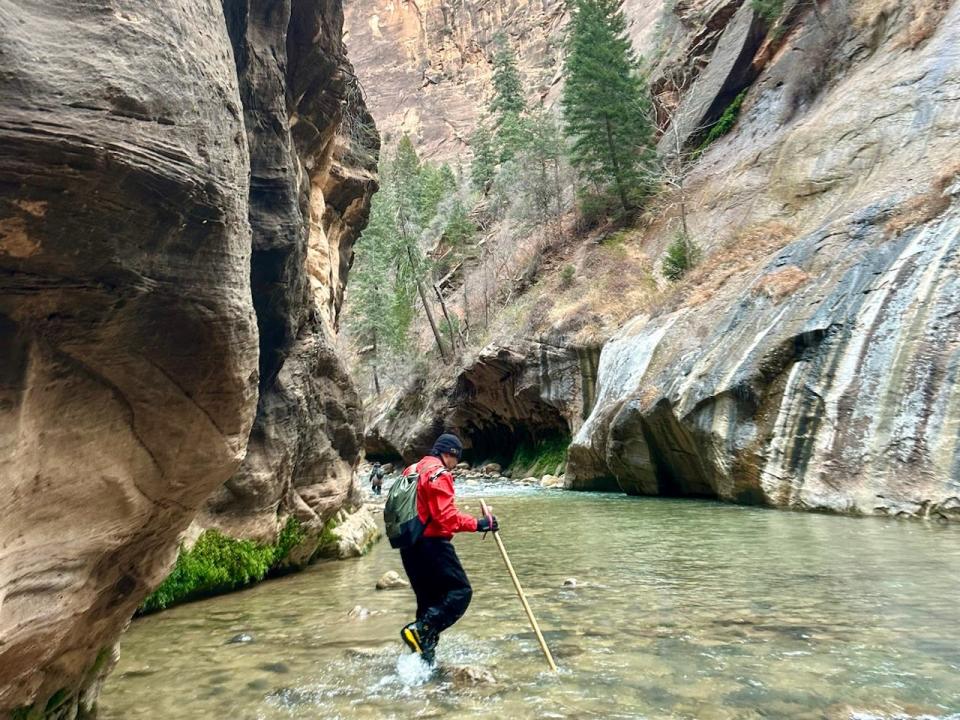 Author Amanda Adler wading in water at Zion national park