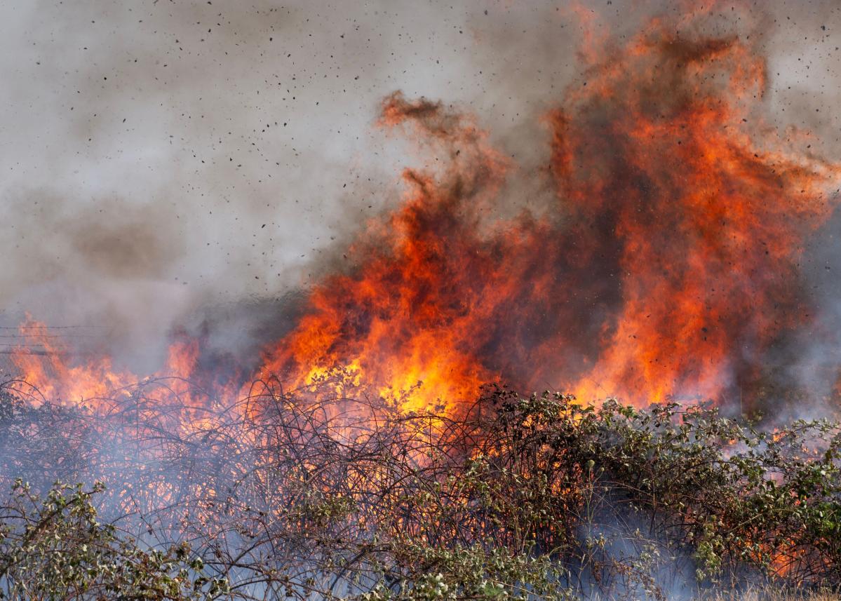 Firefighters battle smoking fire near railroad tracks in Springfield