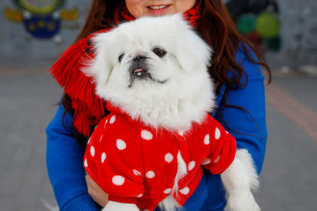 Wang Fei poses for pictures with her local-bred Pekingese dog, Jianjian, near her house in Beijing, China, January 7, 2018. REUTERS/Thomas Peter