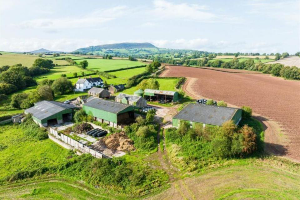 South Wales Argus: The Duffryn Farm has over 170 acres of land.