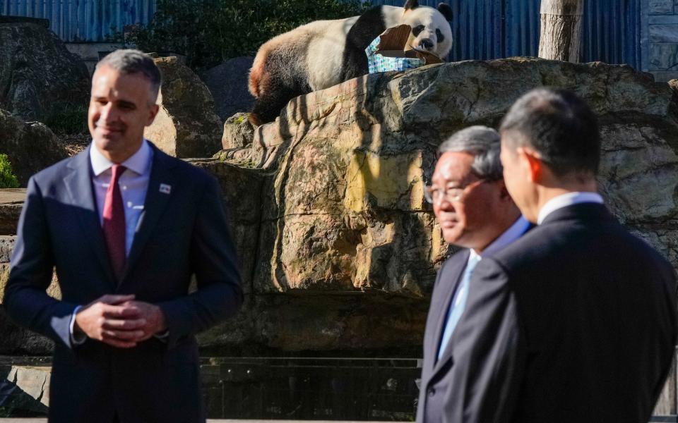 Peter Malinauskas, the premier of South Australia, and Li Qiang, the Chinese premier, listen to a ranger at Adelaide Zoo as Wang Wang the panda chews on a box