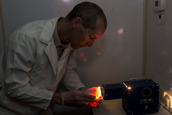 Ron Webb, a senior condor keeper at the San Diego Zoo Safari Park, holds a California condor egg up to a bright, warm light to monitor the development of the chick within in a process called candling.