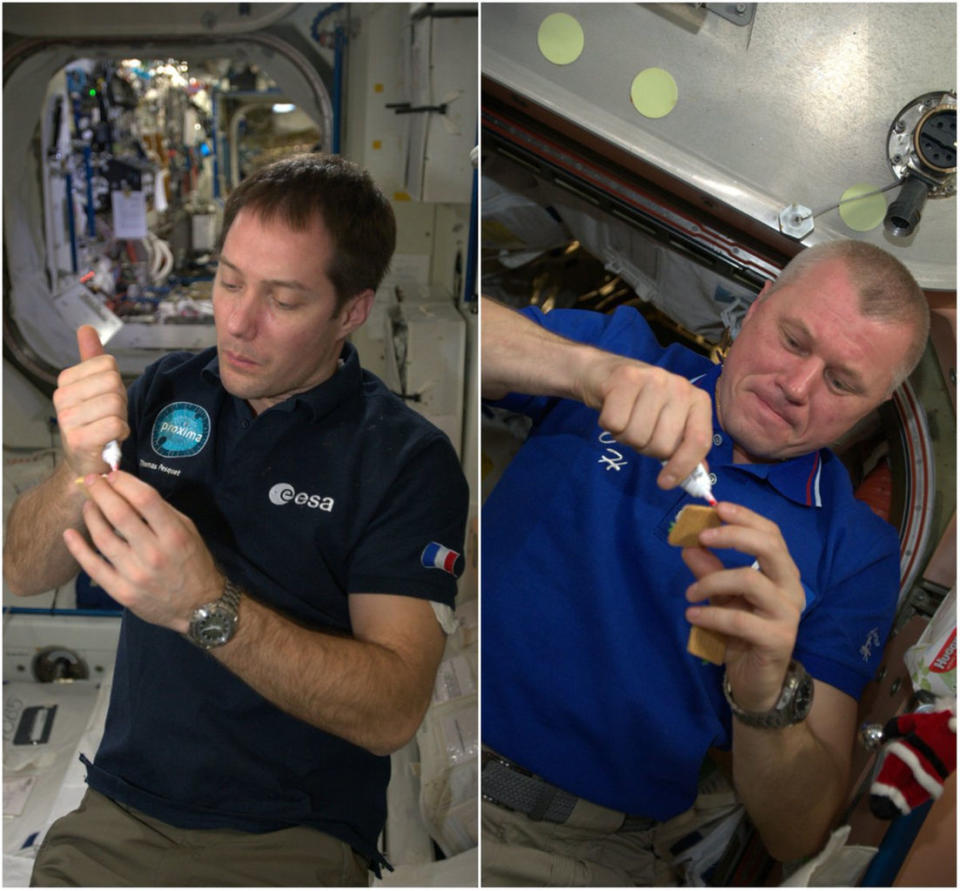 French astronaut Thomas Pesquet and Russian cosmonaut Oleg Novitskiy compete in a holiday cookie-decorating contest aboard the International Space Station. <cite>NASA / Peggy Whitson</cite>