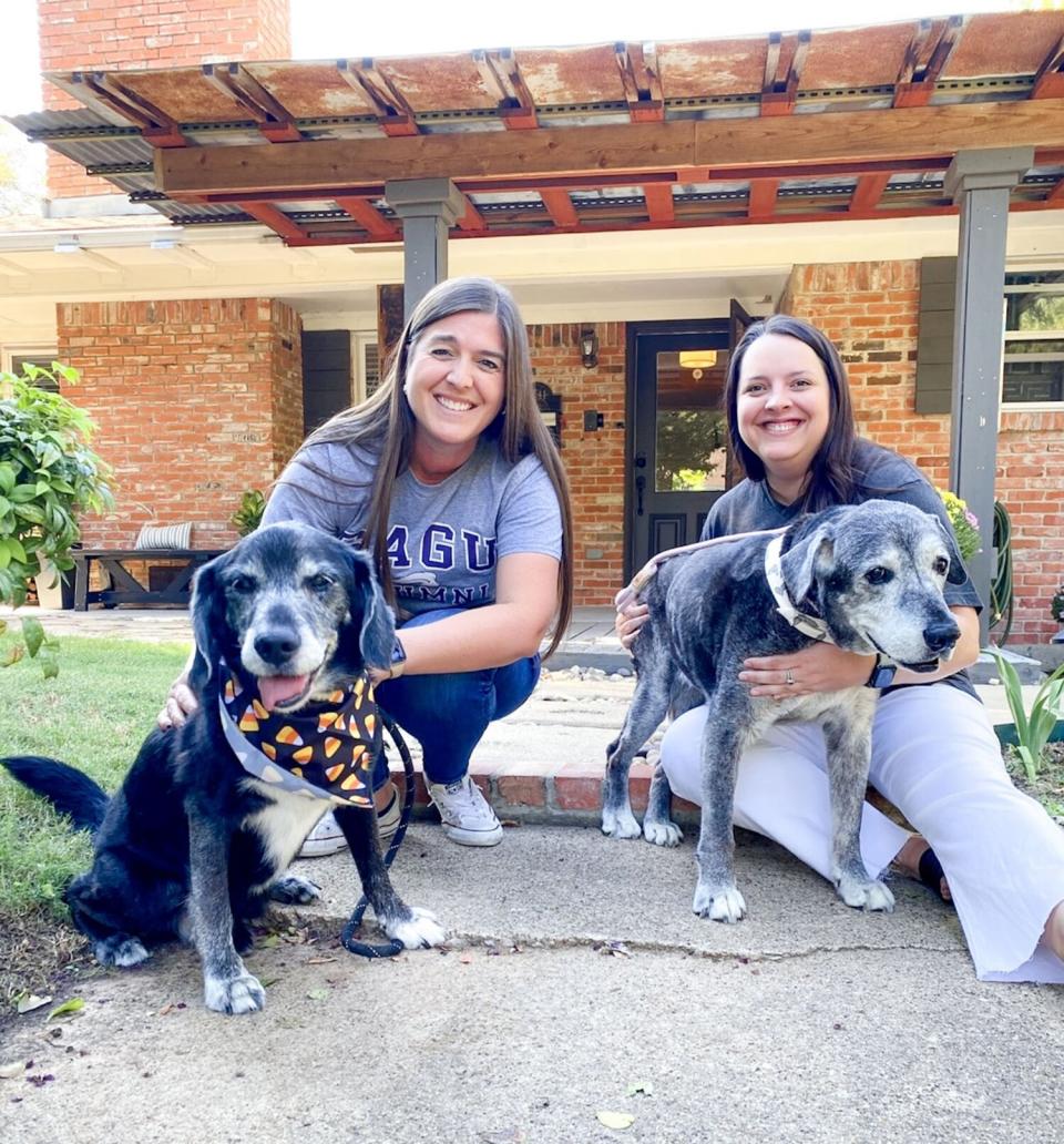 Best friends helping senior foster dog complete bucket list